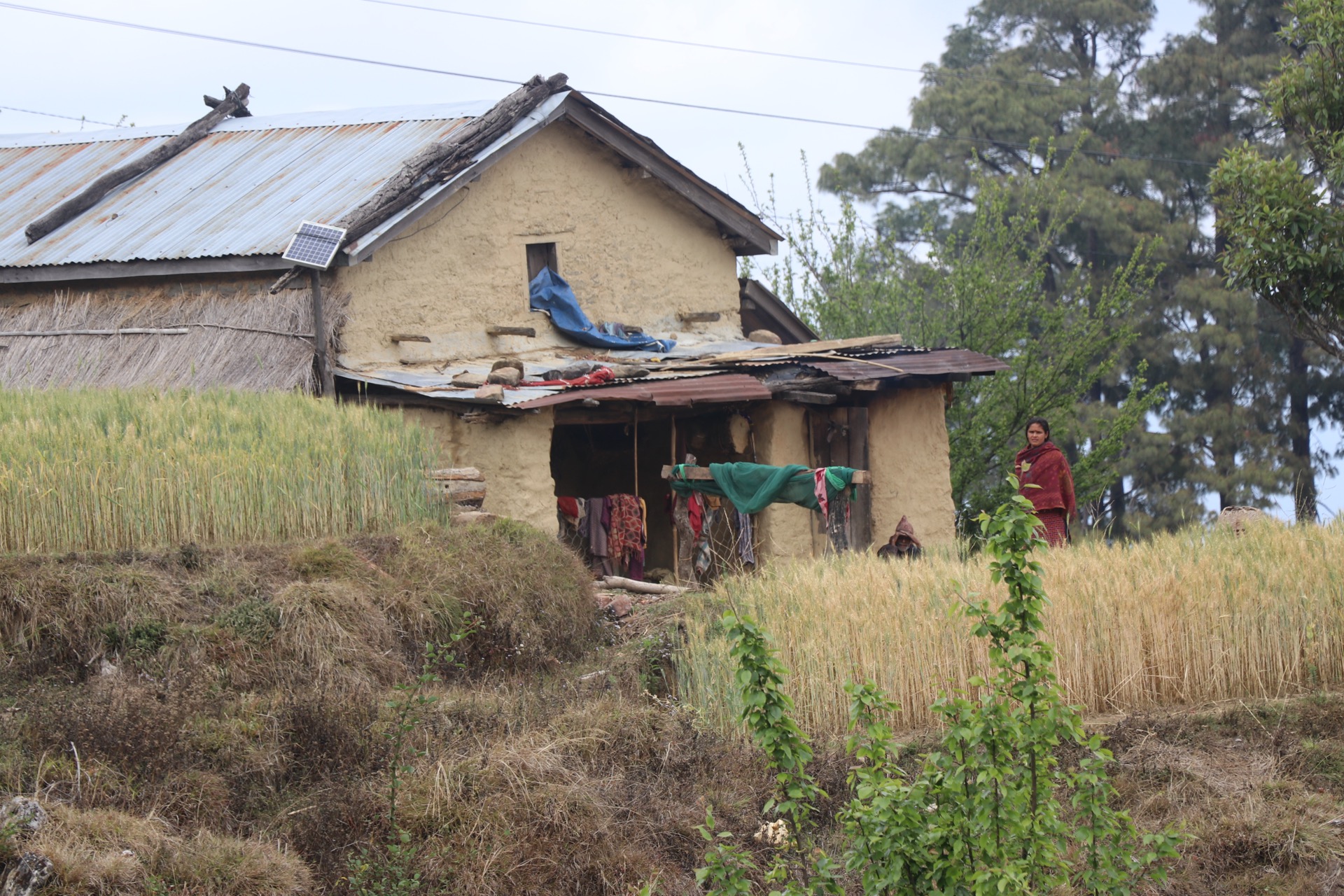 Volunteers Who Turn Logistics Into Lifelines